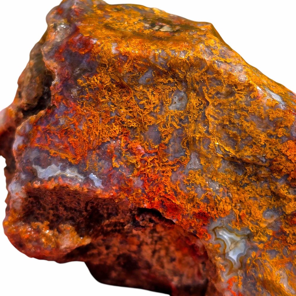 Random Pull San Carlos Agate Lapidary Rough Uncut Chunks