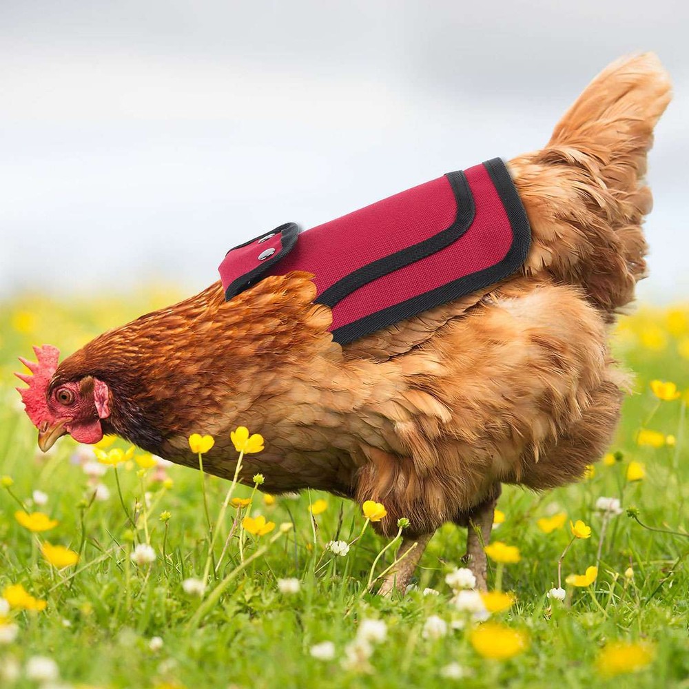Chicken Saddle Apron Hen Back for Protection Backyard Poultry Protector