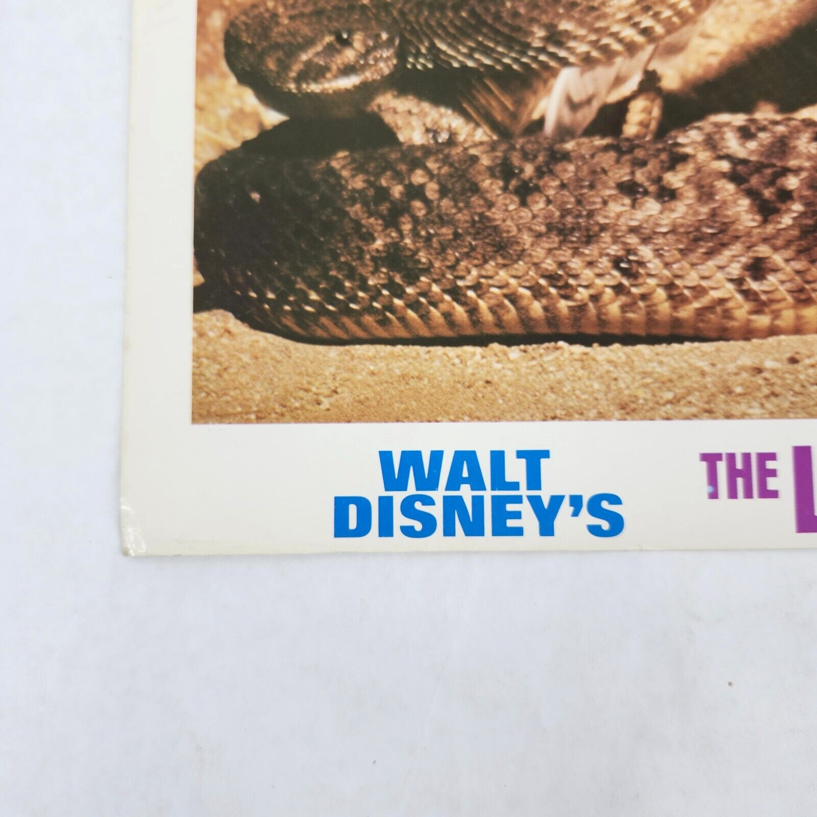 The Living Desert Walt Disney 1971 Lobby Card Movie Poster Winston Hibler 1953