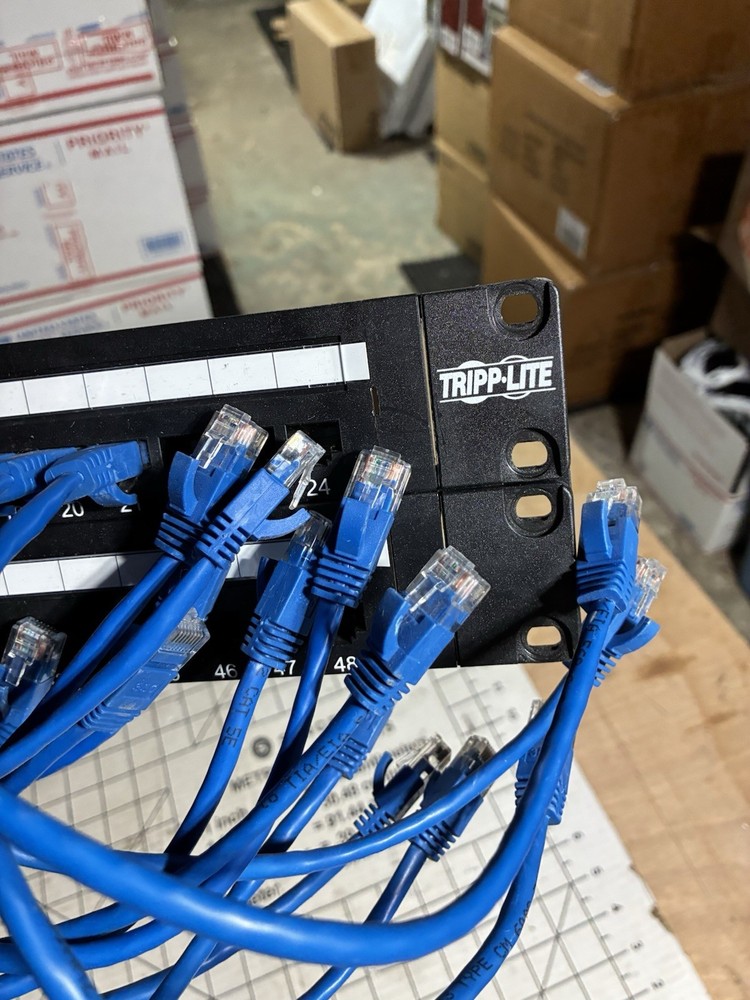 TRIPP LITE Phone Network Face Plate T16