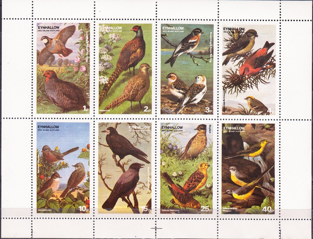 W EYNHALLOW 015 BIRDS