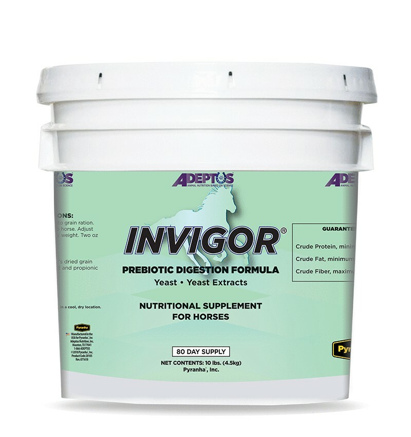 Adeptus Invigor