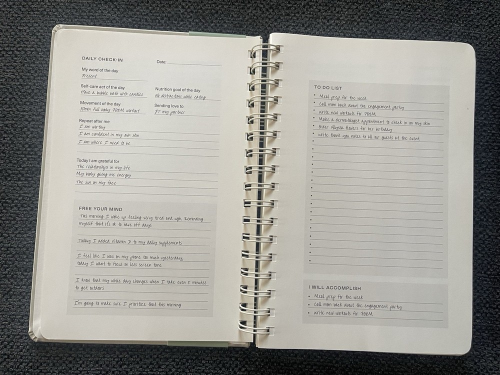 FORM My Daily Check In Wellness Planner