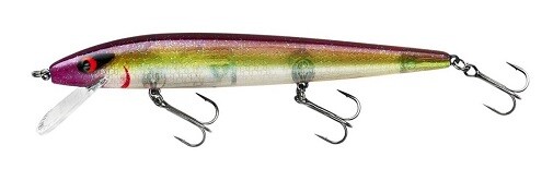 Smithwick Perfect 10 Rogue - Lady