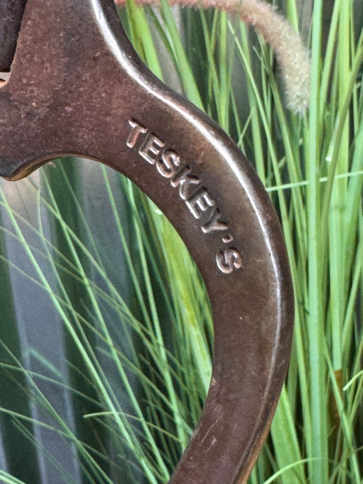 Teskey's Flat Shank Square Port Bit FSSQ ~ Silver Mounted Cheeks ~ 5"