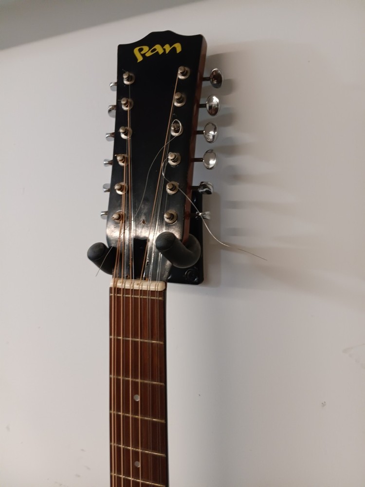 pan acoustic 12 string w/case