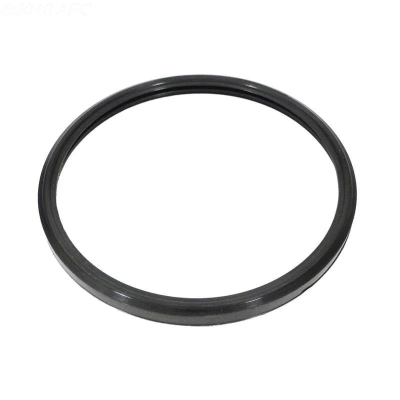 Hayward Lens Gasket