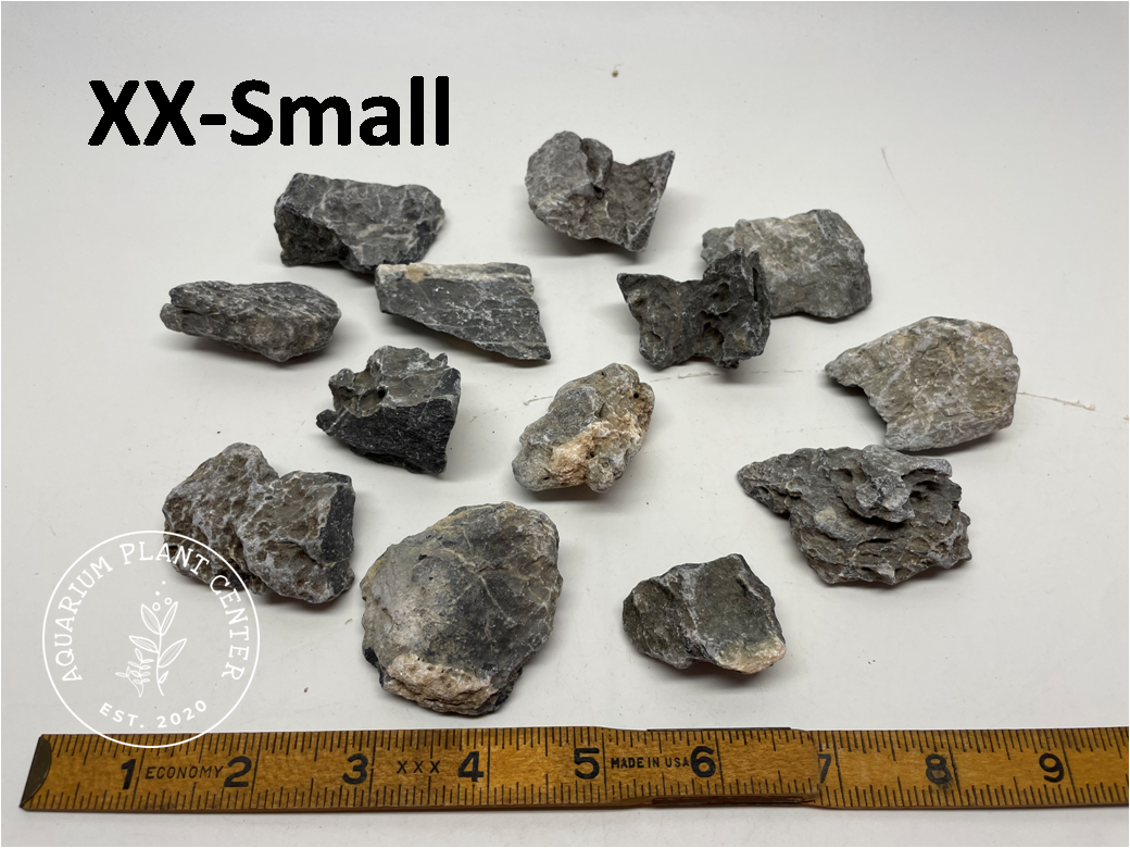 Seiryu Stone / Planted Aquarium / Decoration / Hardscape / Aquarium