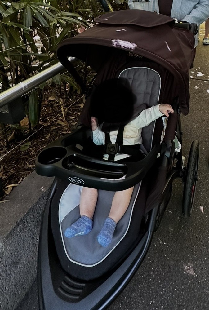 Graco Fast Action Jogging Stroller (minimally used)