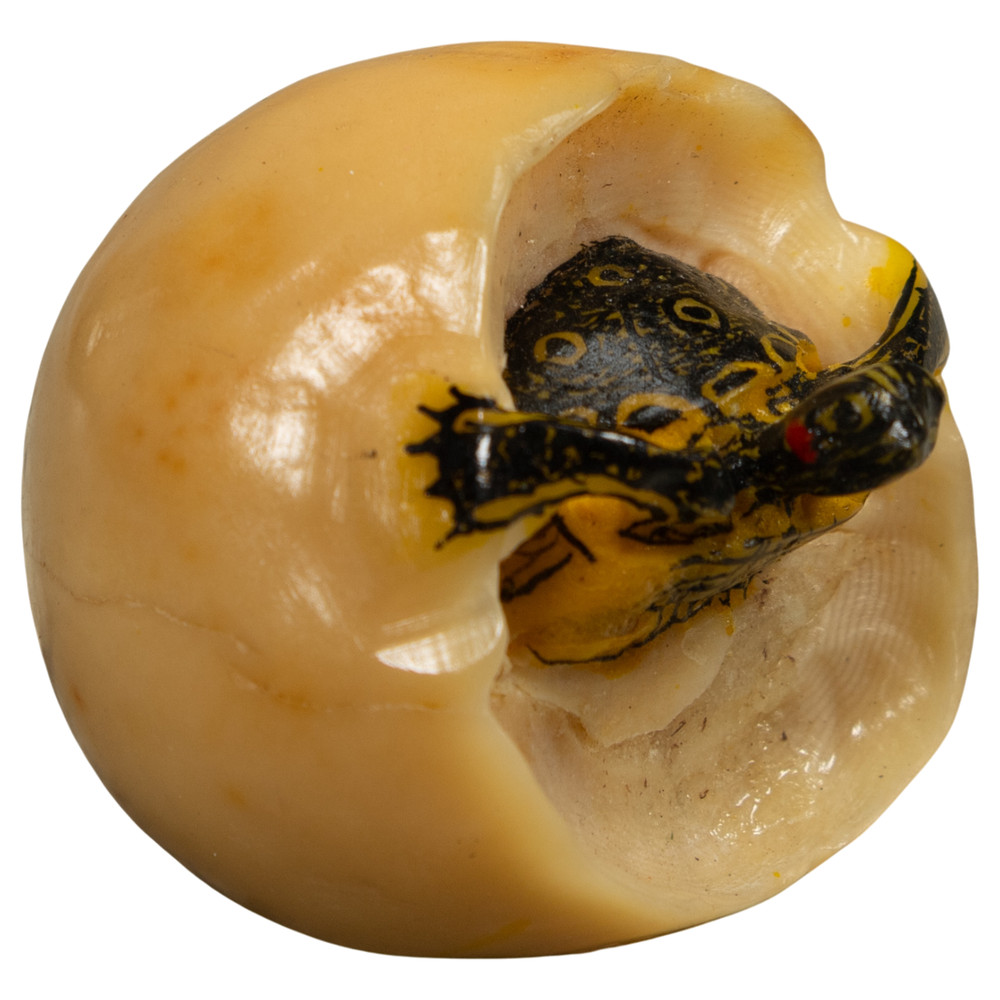 Turtle And Egg Tagua Carving