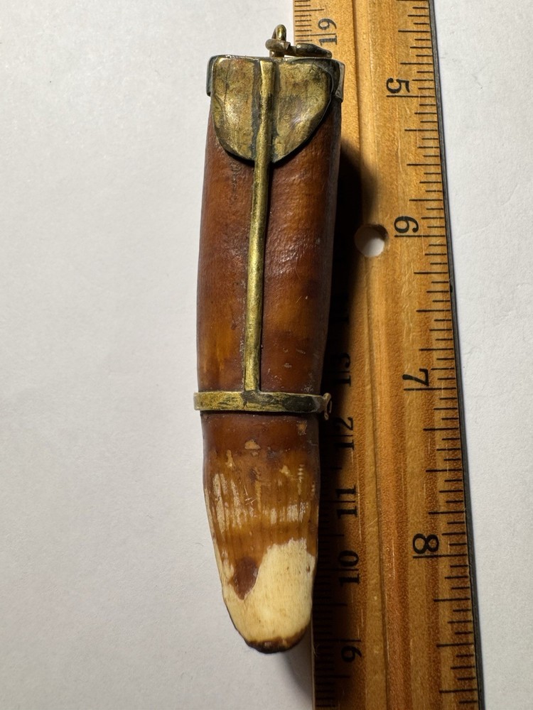530- Tooth, Teeth, Crocodile’s Tooth