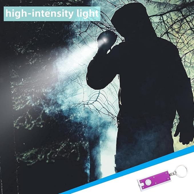 1~500x Mini Keychain Flashlight LED Light Bulk Small Flashlight for Outdoor Lot