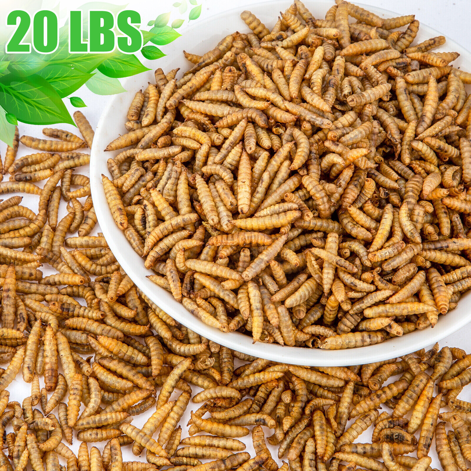 20 lbs Bulk Dried Mealworms NON GMO Organic For Fish Bluebirds Chickens Gliders