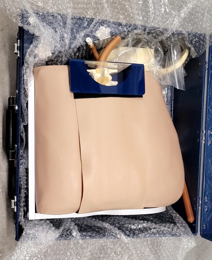 Nasco Life Form Spinal Injection Simulator