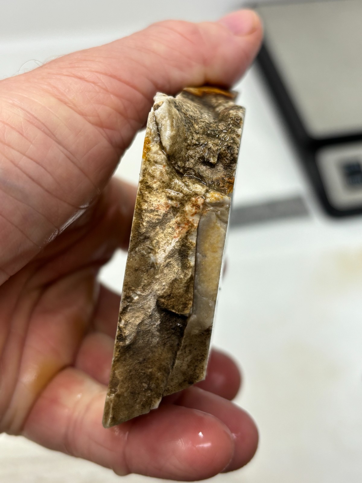 Disaster Peak Picture Jasper end slab Cabbing Lapidary Collecting Combo Ship Avl