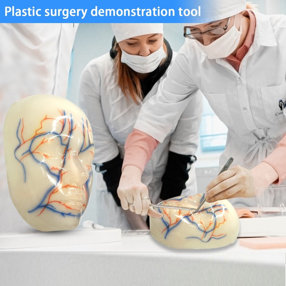 Facial Micropigmentation Training Model One-to-one Normal Female Face Repeatable