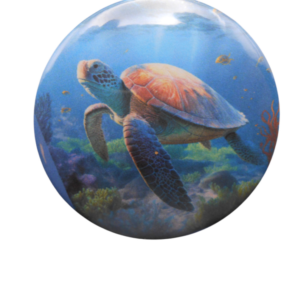 Sea Turtle[ 2.25 inch  ]