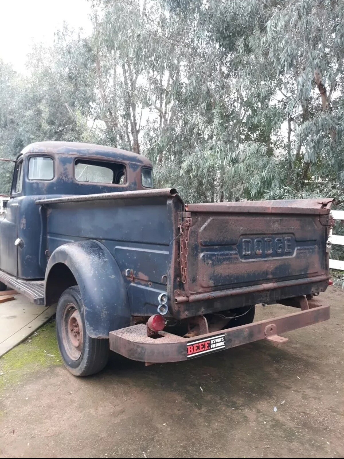 Beef It’s What’s For Dinner Bumper Sticker New Style