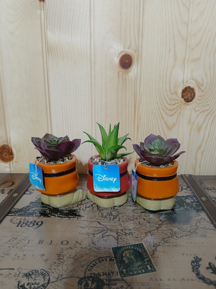 disney dopey and doc mini planter set