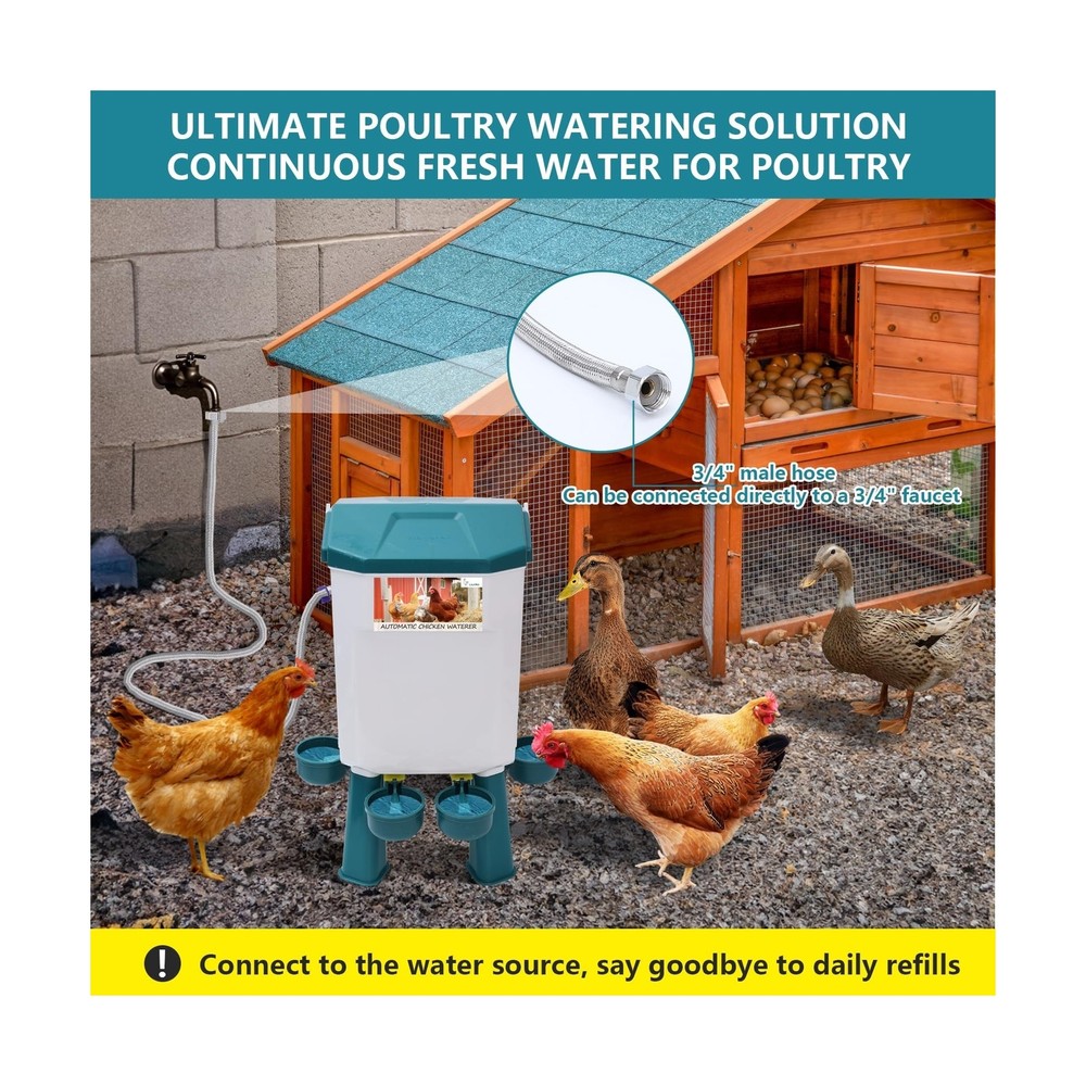 Lilyang Float-Controlled Automatic Chicken Waterer for Continuous F... Fast Ship