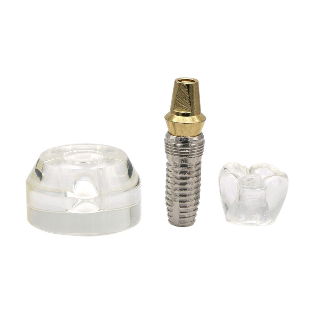 M2020 Dental Implant Model Demonstration Teeth Study Teach Model Removable