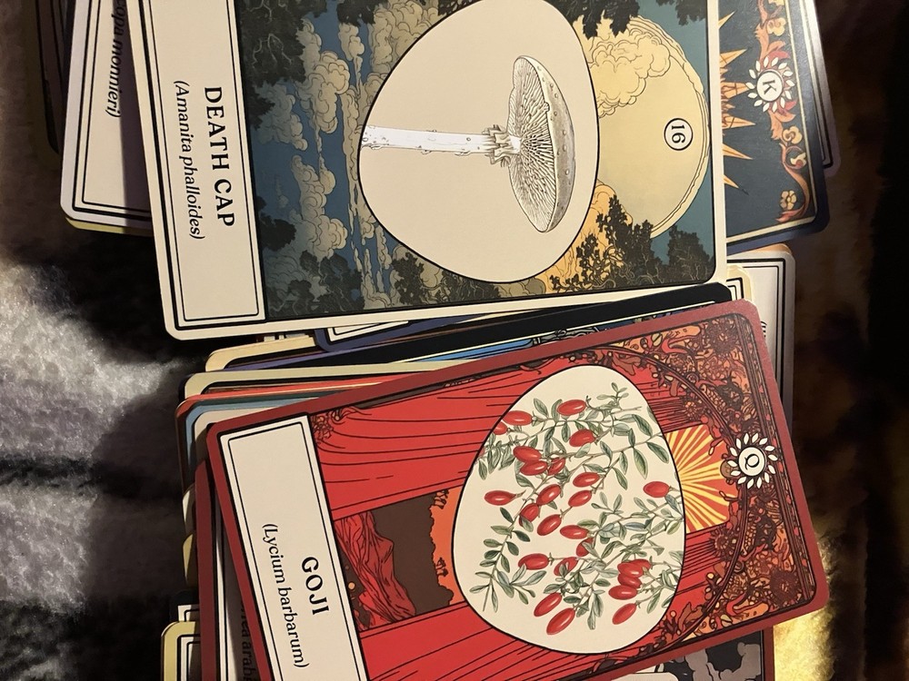 Tarot Reading Quick Response via message with photo - 1 question