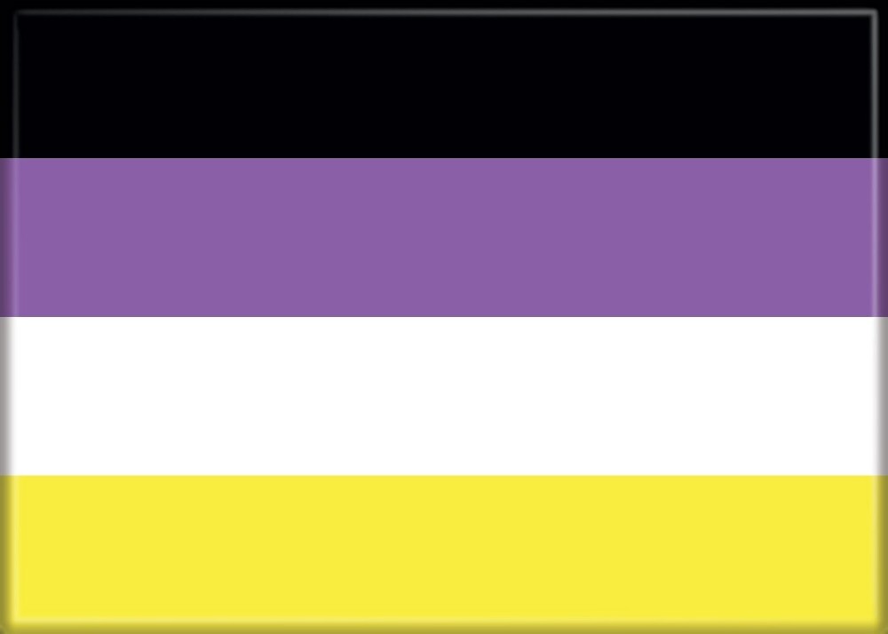 ATA-BOY NON BINARY FLAG REFRIGERATOR MAGNET 2.5” X 3.5” NEW
