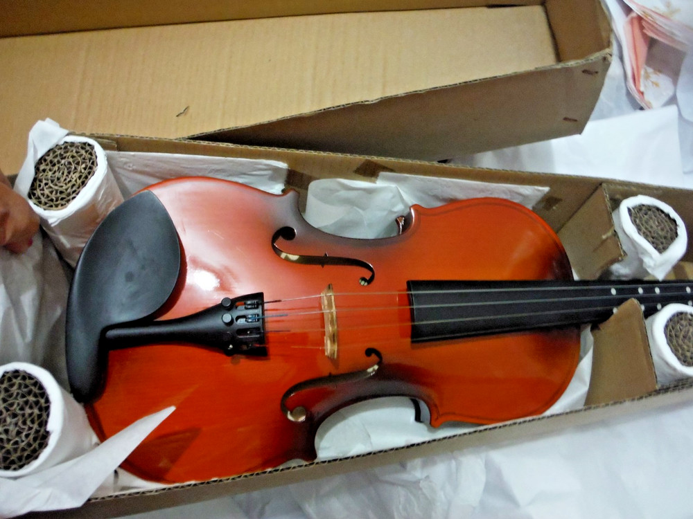 Easter 4/4 Violin NIB