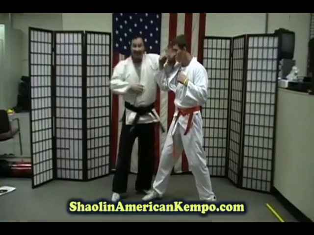 🔴 Beyond Techniques: Hidden Principles for Unstoppable Martial Arts | Karate