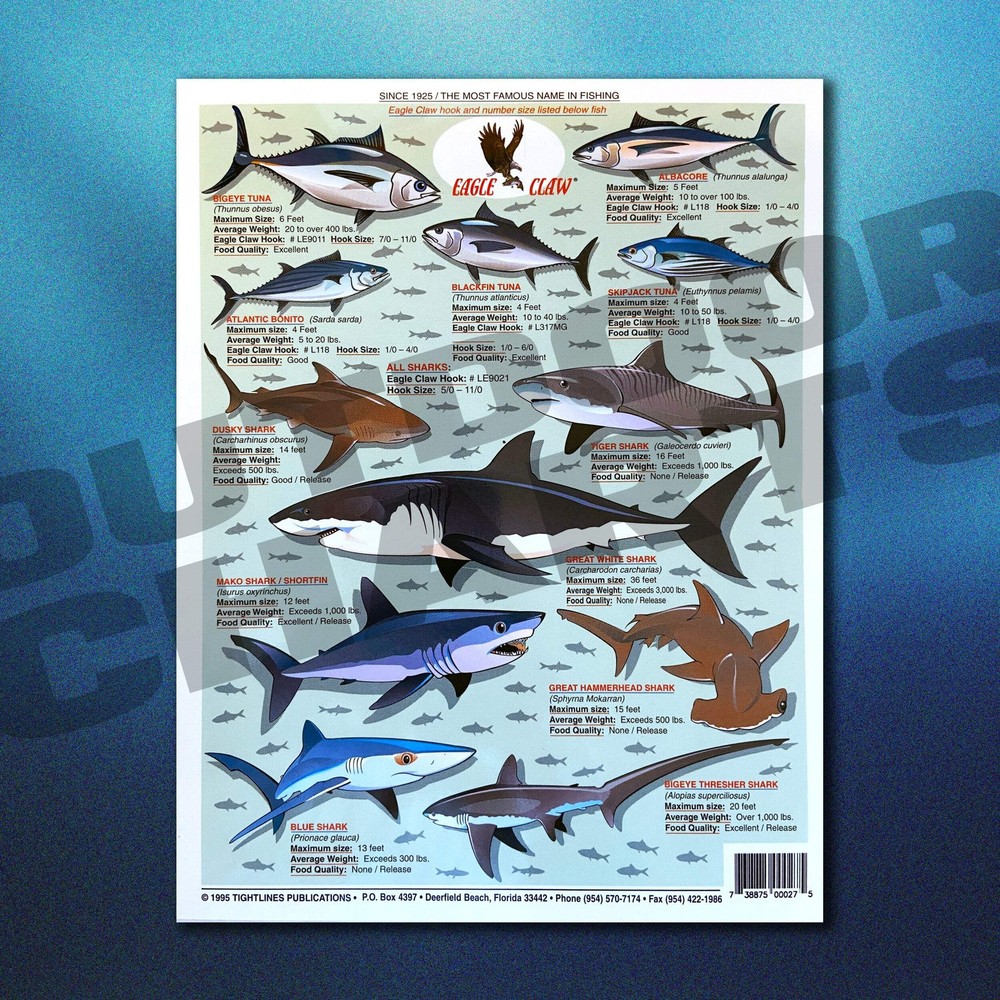 Atlantic Ocean Big Game Fish Identification #1 - Waterproof Quick Reference Guid