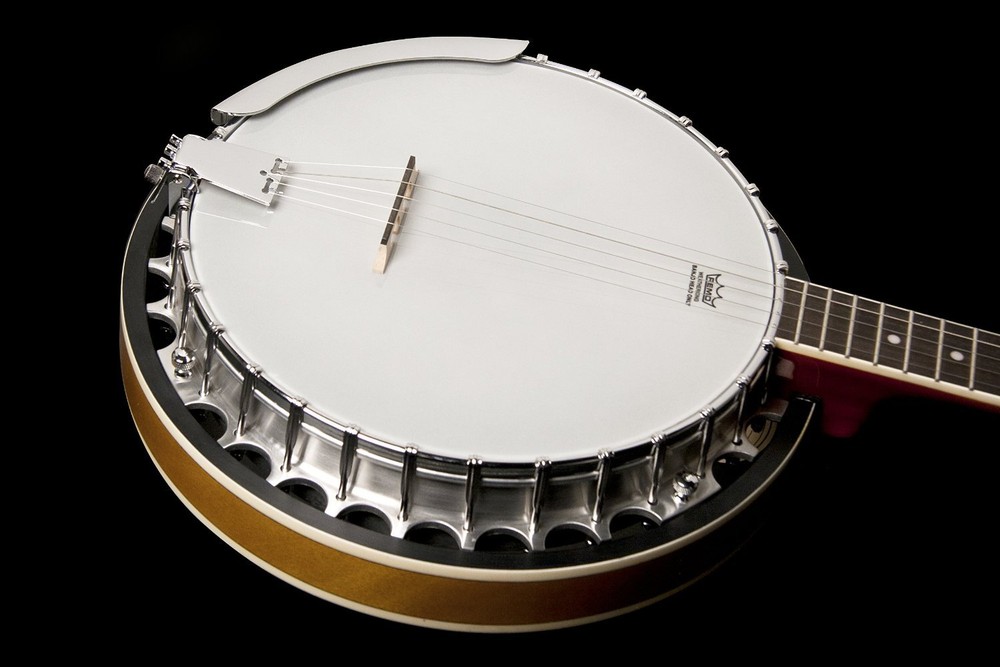 Washburn B9 Series 5-String Banjo