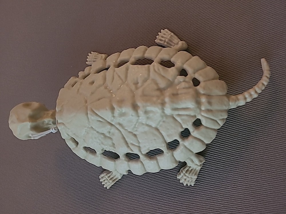 8" Skeleton Turtle Prop