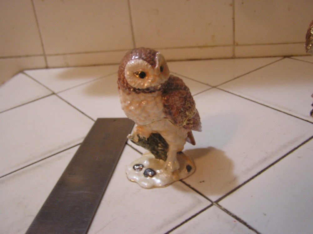Rucinni Owl Trinket