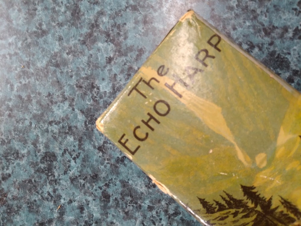 VTG HOHNER ECHO HARP HARMONICA W/ORIGINAL BOX