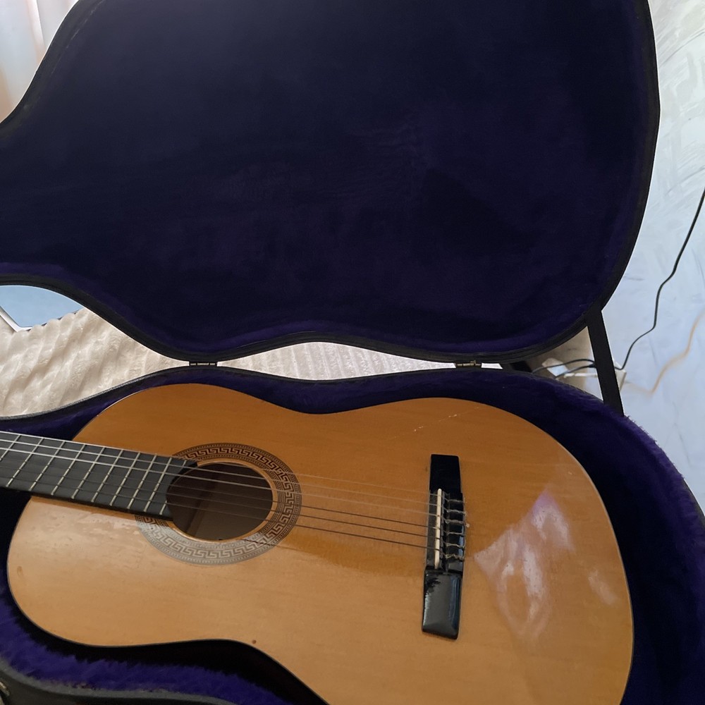 Horner Acoustic Guitar HC06