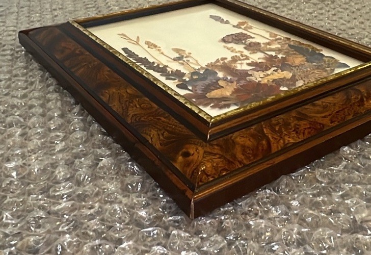 VTG Real Pressed Flower Specimens Framed With Glass Folk Art Wall Hanging Signed