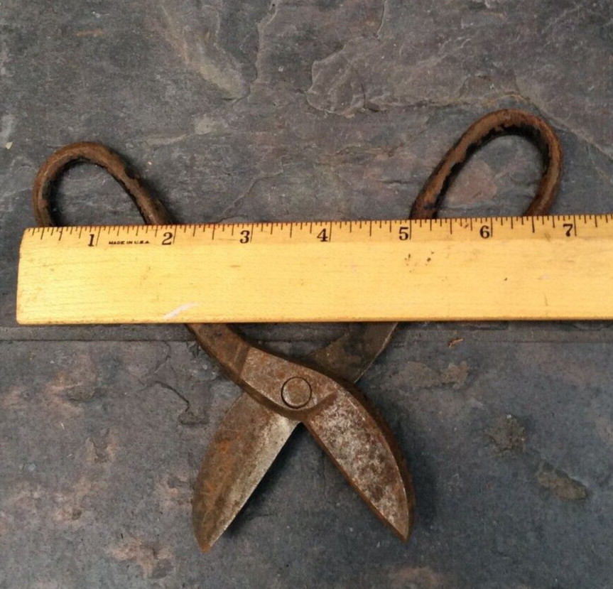 Vintage Blue Bird (?) Short Tin Snips