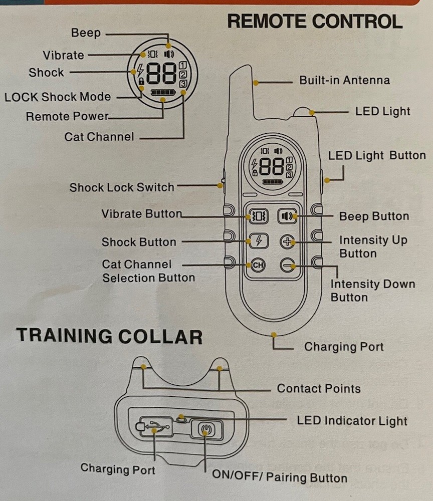 Pet Training Collar with Remote Control