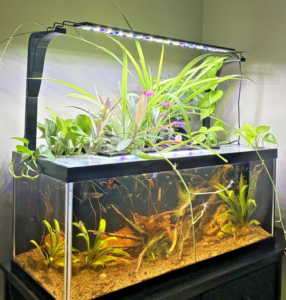 Aquarium Plant Holder-Adjustable Height
