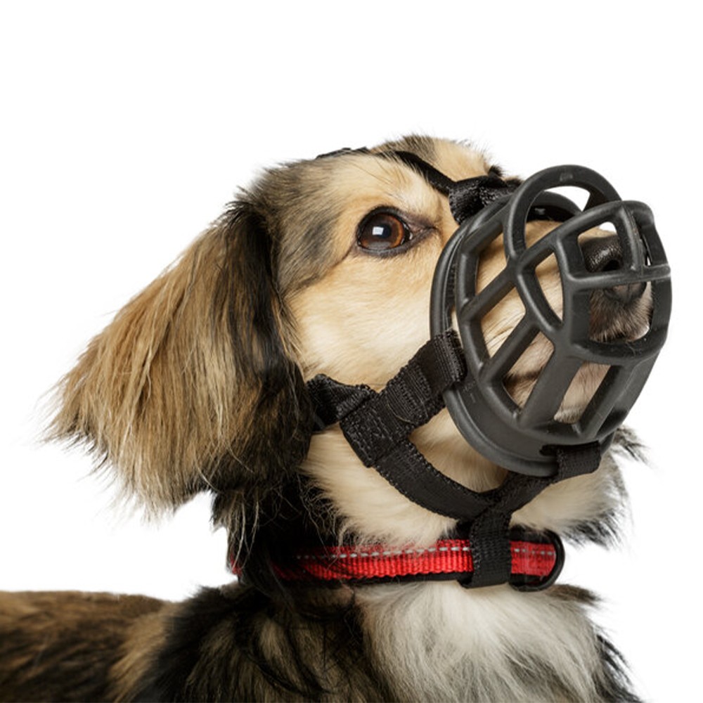 Baskerville Ultra Dog Muzzle (TL5578)