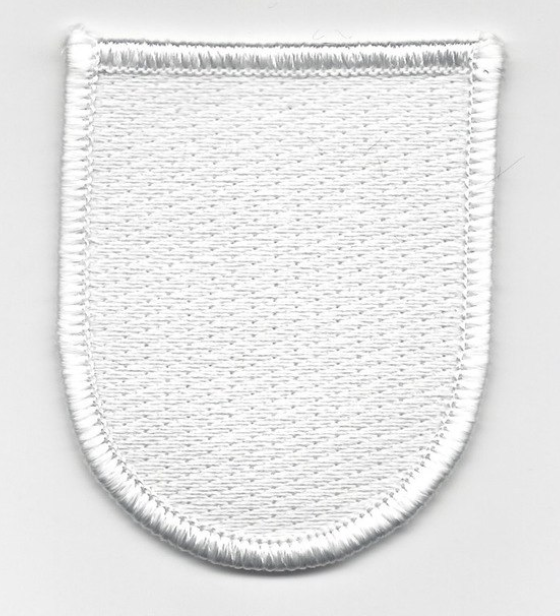 2.25" ARMY SPECIAL FORCES GROUP TRAINING FLASH EMBROIDERED PATCH