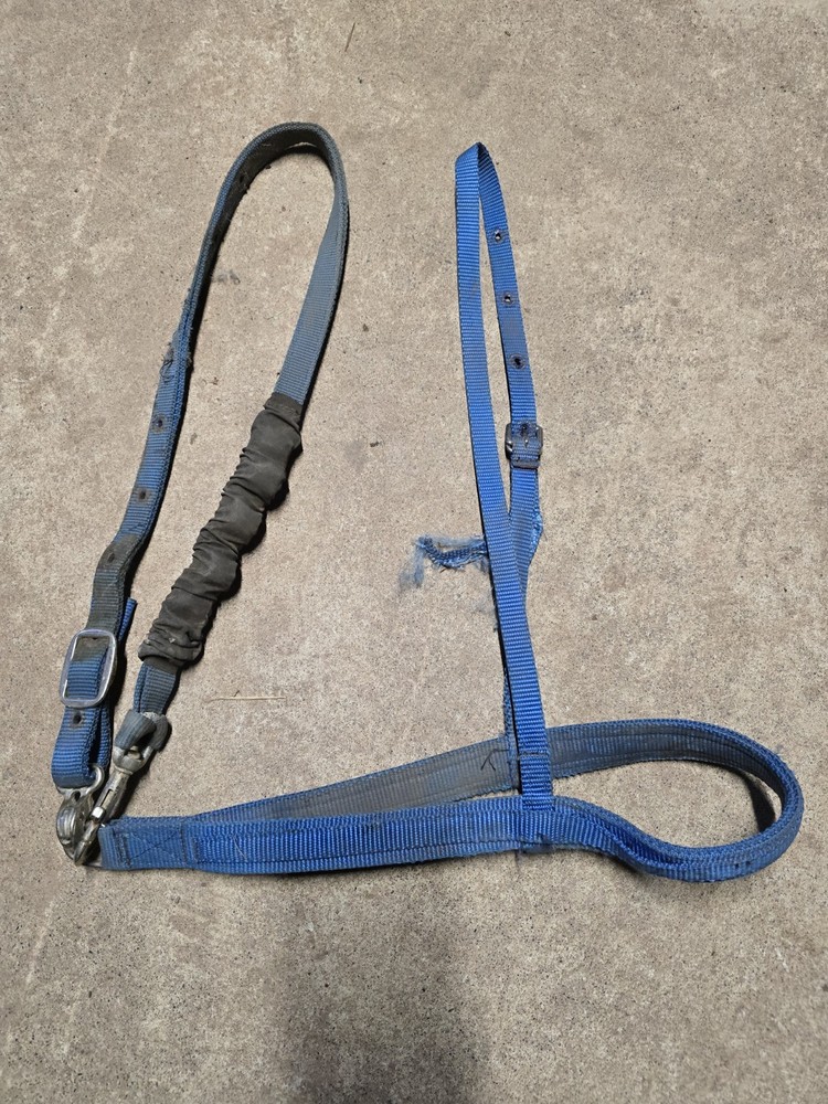 Blue Nylon Horse Sized Tie Down Used
