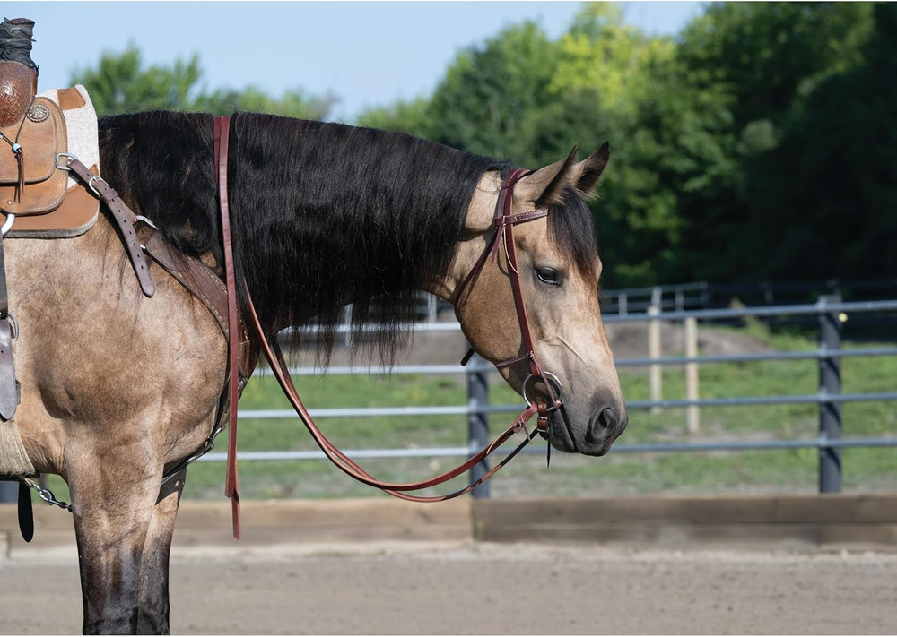 Protack Oiled Split Reins
