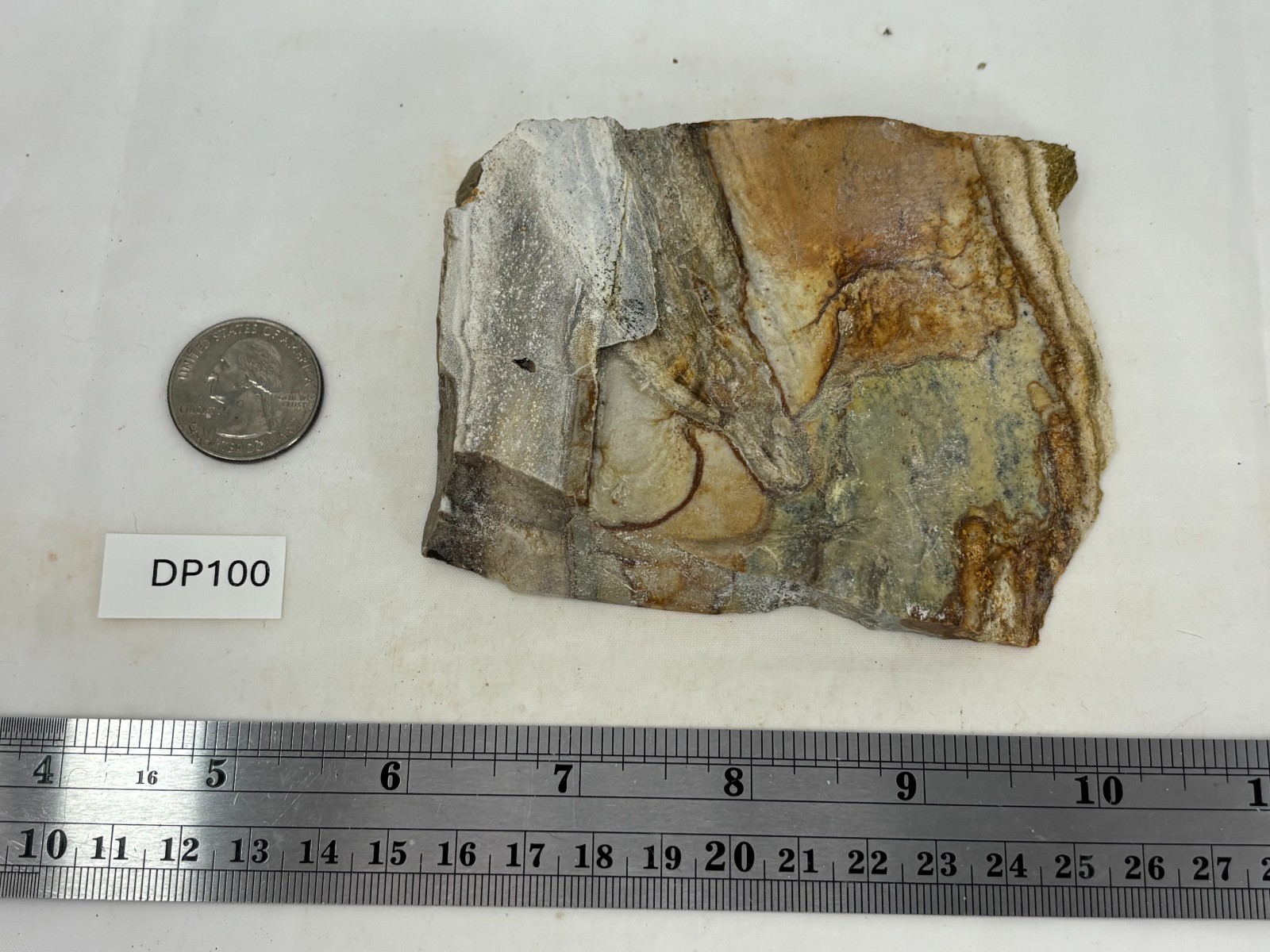 Disaster Peak Picture Jasper end slab Cabbing Lapidary Collecting Combo Ship Avl