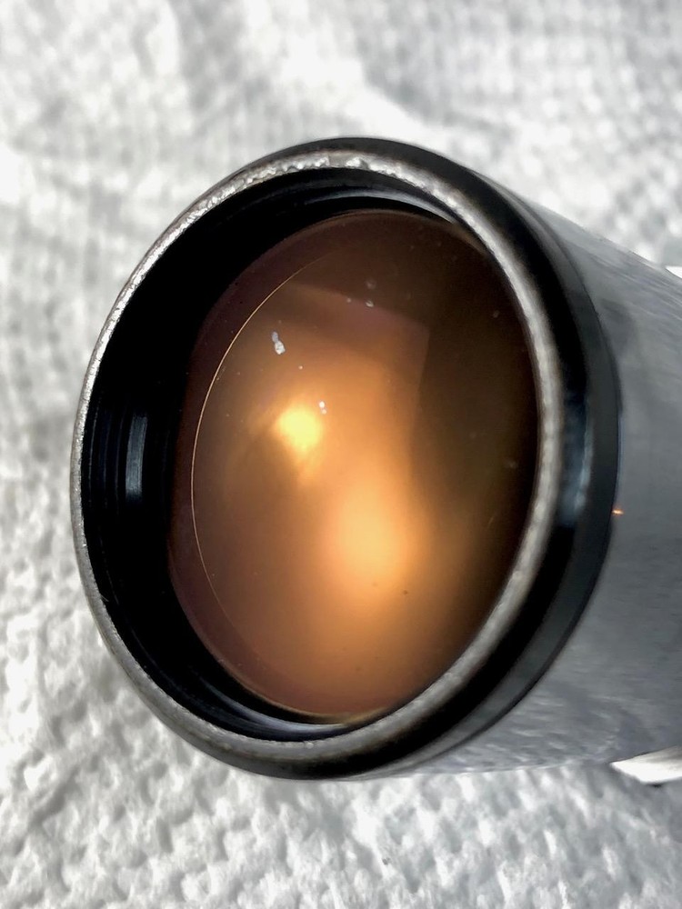 Leitz Periplan GW 10x Ocular Pair (older series)