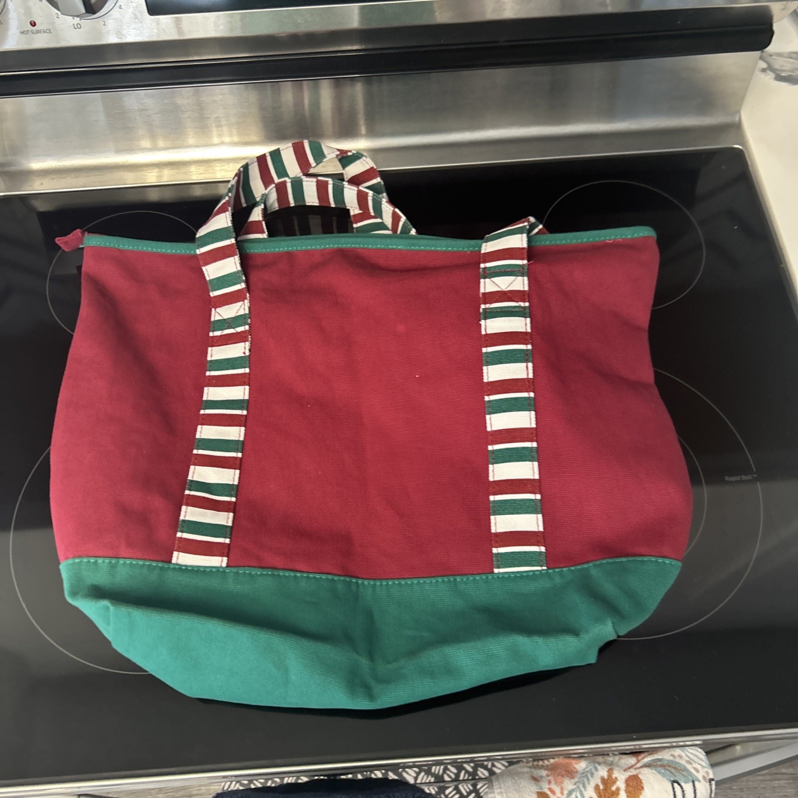 Walt Disney World Mickey & Minnie Mouse Christmas Canvas Tote Bag w/ Zipper NEW