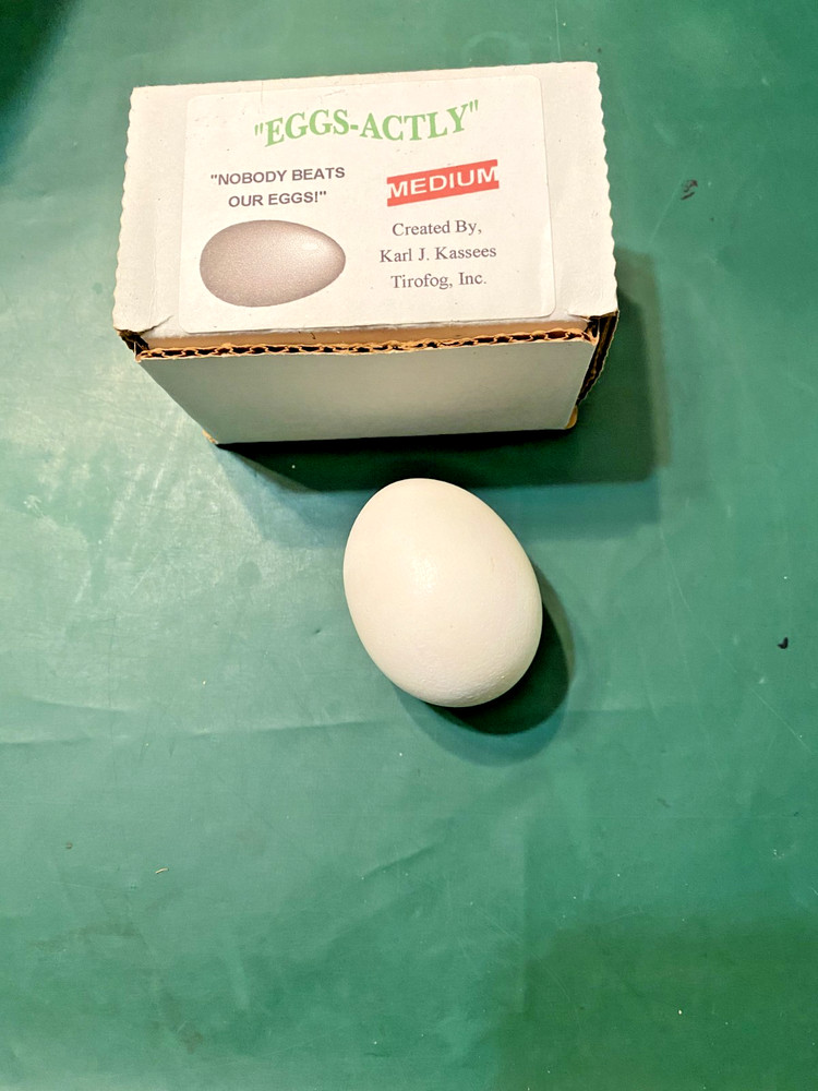 magic eggs-actly egg medium new in box