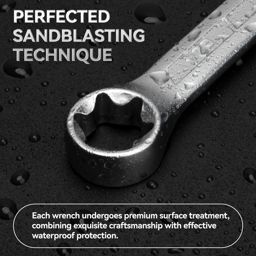 DISEN 6-Piece E-Torx Wrench Set, Double Box End E-type 6pcs kit, Silver