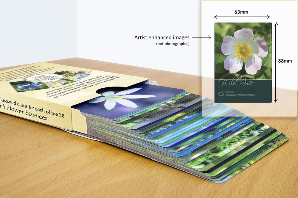 Bach Flower Divination Cards Pack 38 Beautiful illustrations, proverbs, quotes