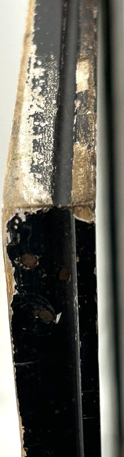 Antique Circa 1912 NEW HAMPSHIRE Auction Advertising Poster Tiger Striped Frame